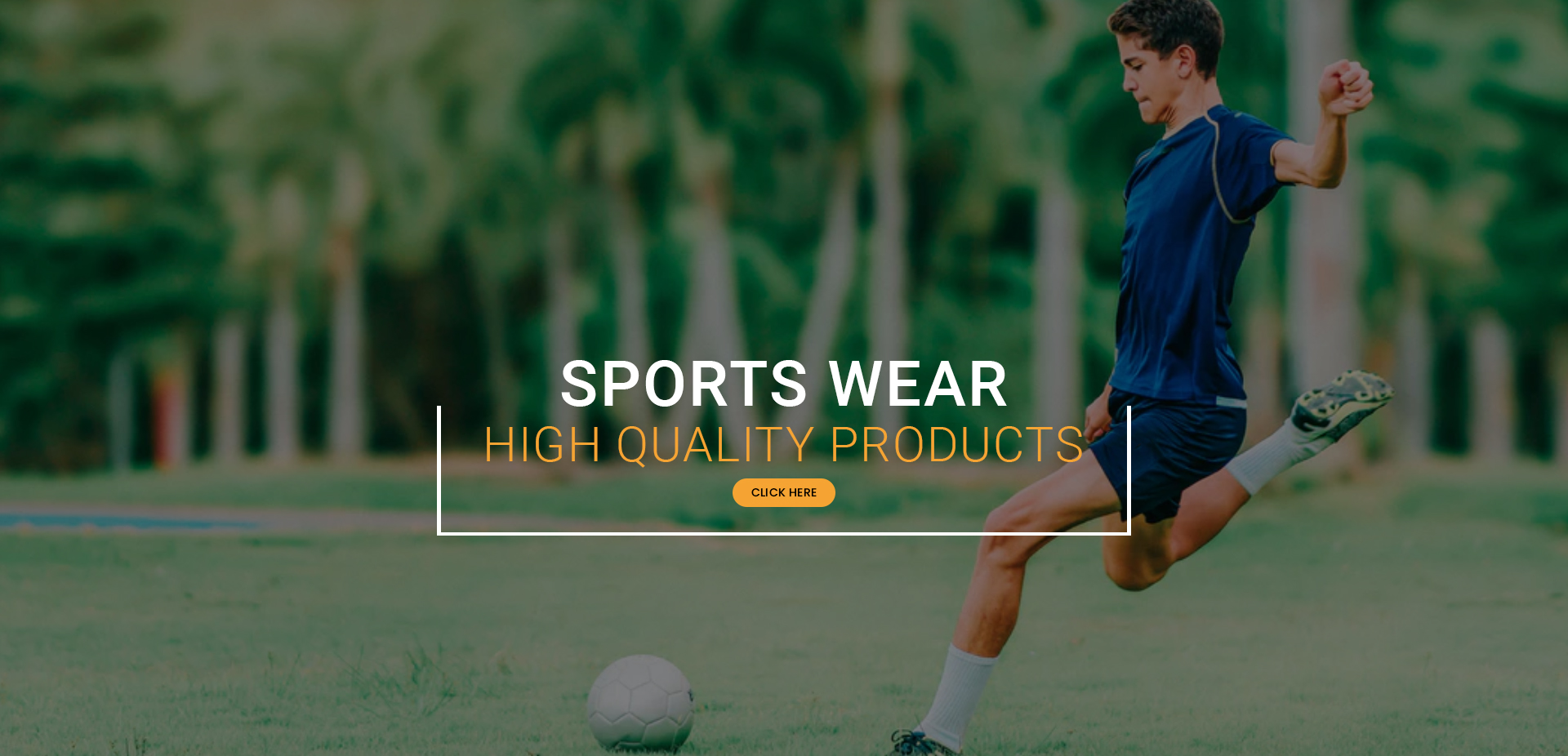 image slider